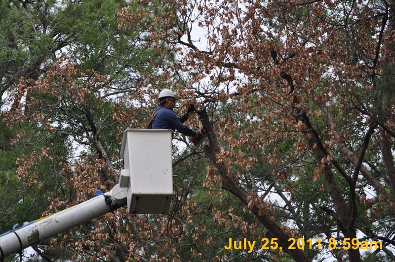Entergy 022
